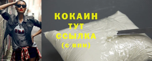 метадон Богданович