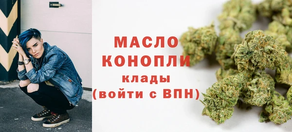 метадон Богданович