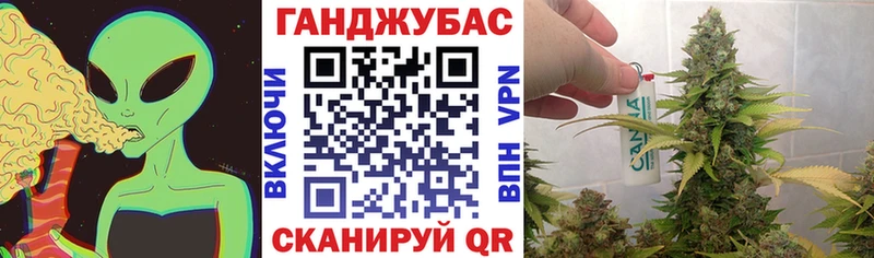 Бошки марихуана MAZAR  даркнет сайт  Моршанск 
